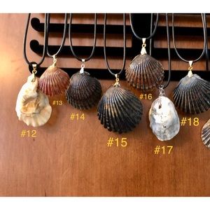 NWT Handcrafted Hamptons Shell Necklace/Choker on Black Leather, One of …